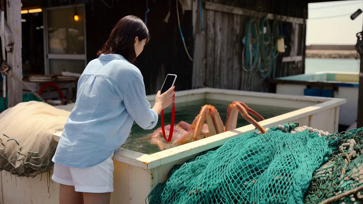 A Giant Crab Escaping Its Harbor Tank