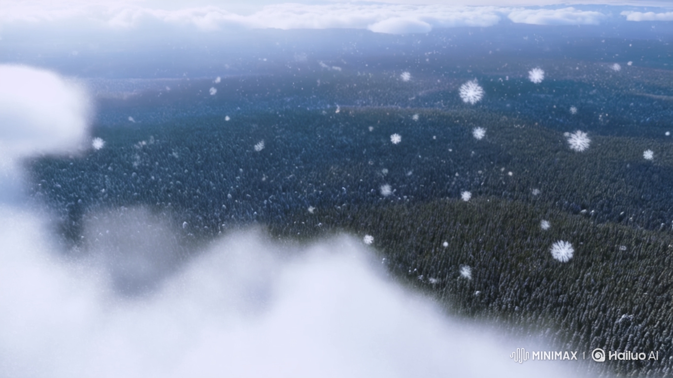 Aerial Slow Motion of Snowflakes Over a Forest